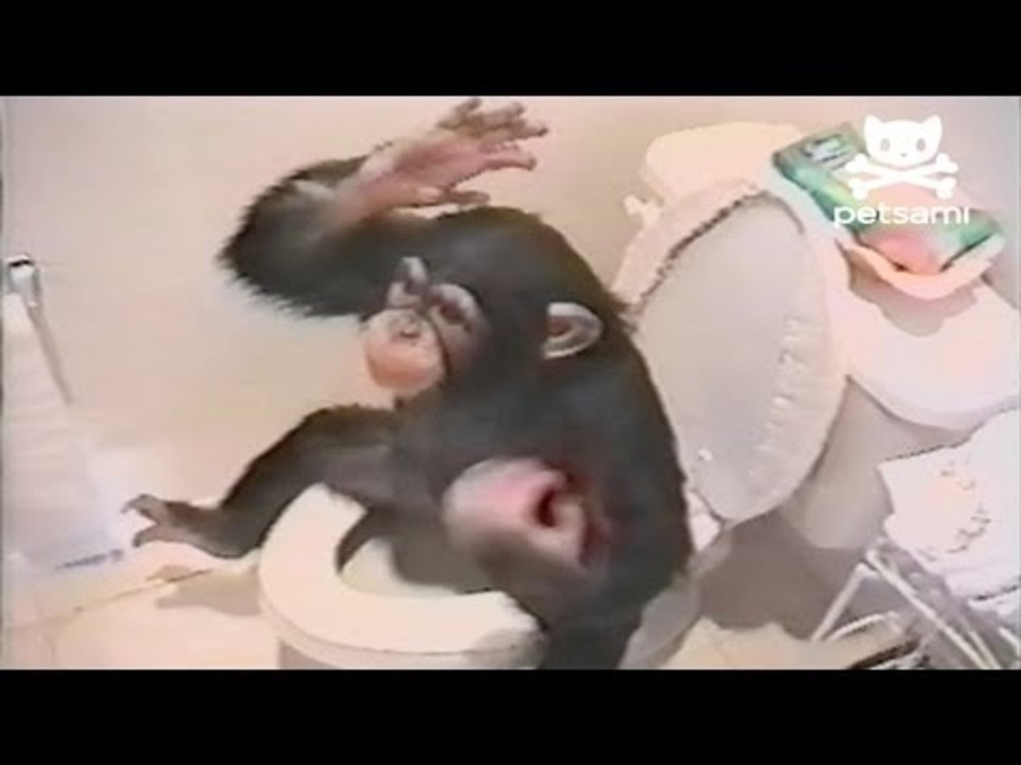 Обезьяна в душе
