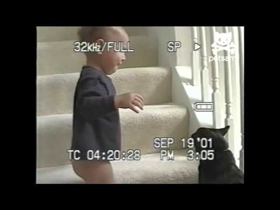 Baby taunts cat with butt