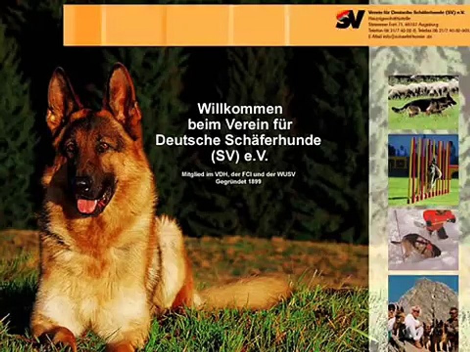 Kwantum vom Klostermoor - Progeny 2009 - by Eduardo Durán Haedo.