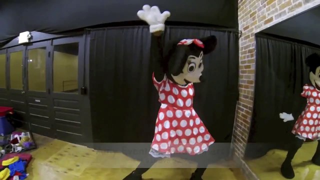 Cartoon characters on rent for kids birthday parties in chandigarh shimla Manali -Call: 8288980007