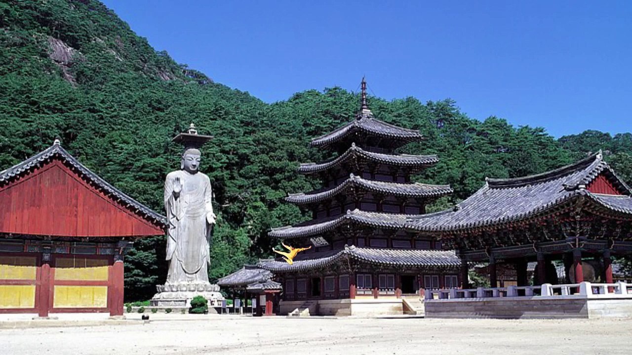 Bruce Lee in "Game of Death" Motion Graphics Cartoon Animation