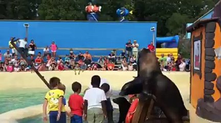 SAMI BATEAU MONT MOSAN