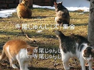 【空耳】ジプシー・キングス他、様々な空耳集