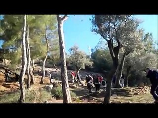 Milas - Kargıcak Köyü, Türbe Köyü, Kral Yolu, Labranda Antik Kenti