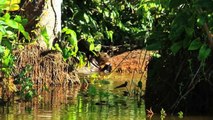 Servicio Nacional de Áreas Naturales Protegidas-SERNANP