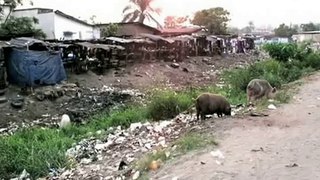 SASSOU NGUESSO ET LA DESTRUCTION PROGRAMMEE DU CONGO