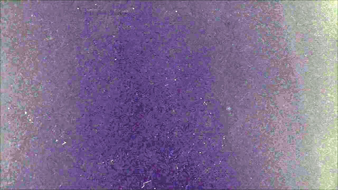 Ari by Ariana Grande  | Ulta Beauty