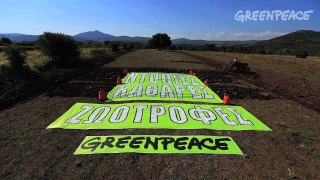 Greenpeace Ελληνικές καθαρές ζωοτροφές!