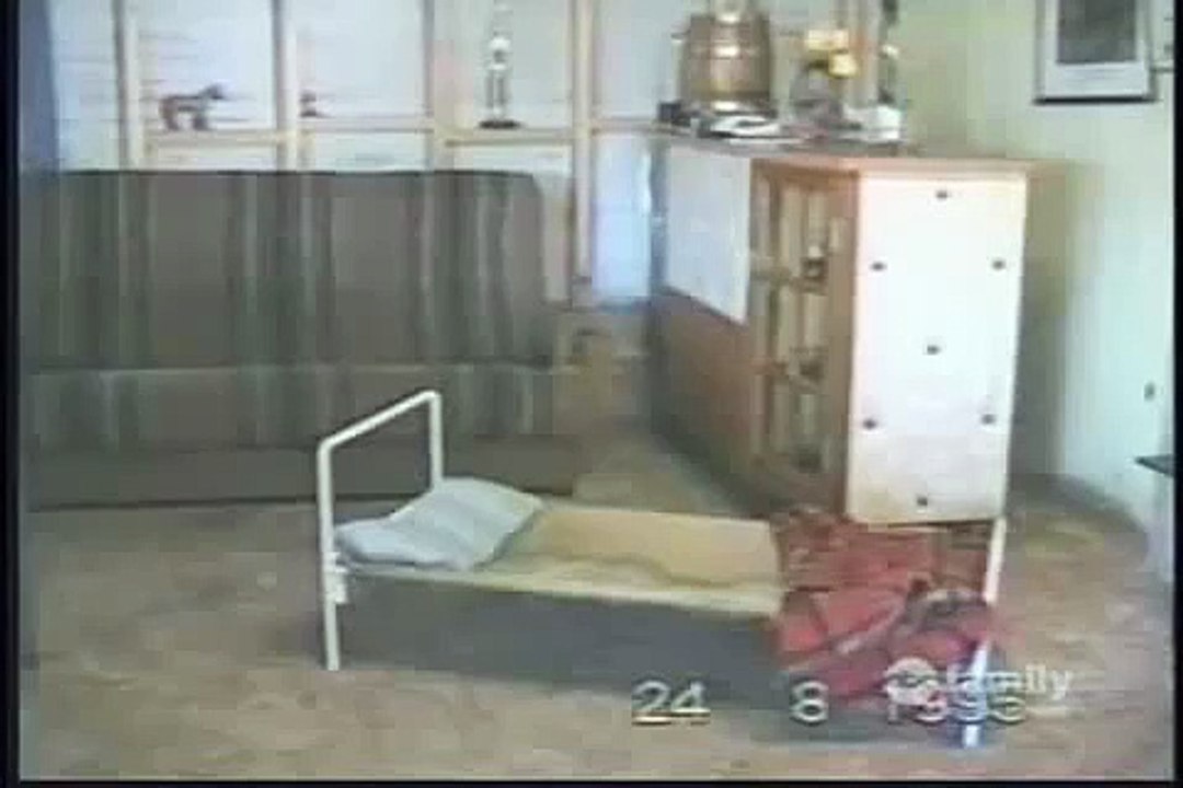 increible Perro Bien Educadito Se duerme en su Cama y se Tapa