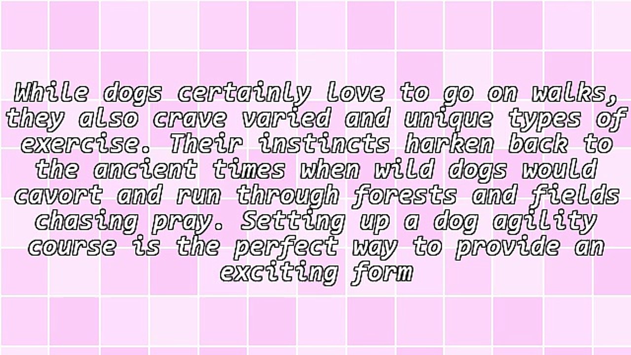 The Equipment Used On Canine Agility Courses