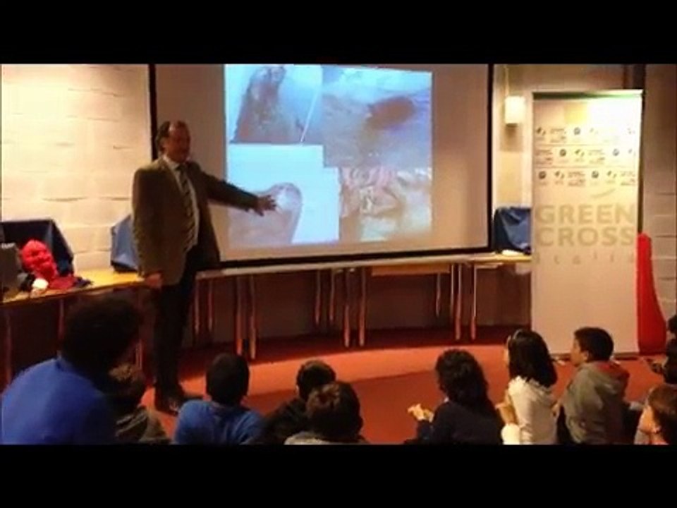 Gli animali dell'Antartide