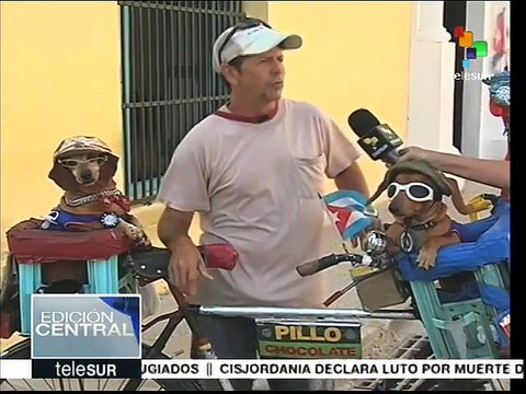 Cuba trabaja en los preparativos para la visita del Papa Francisco