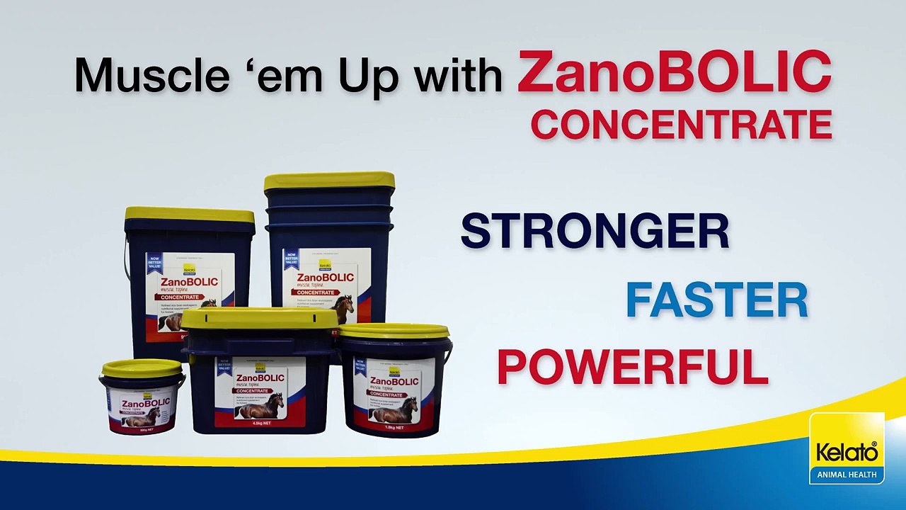 Muscle up for winning power, stamina & topline