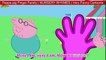 Peppa pig Finger Family | NURSERY RHYMES | Very Funny Cartoons