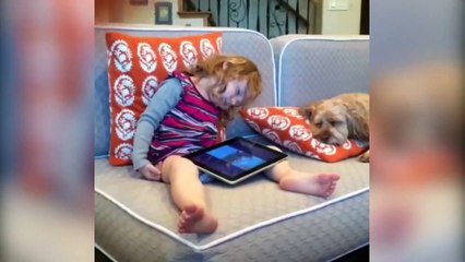 Funny animals Little Dog is Overprotective of His Pillow