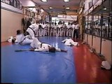 Awesome Karate Kyokushin Self Defense Demonstration
