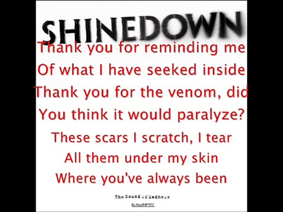 Shinedown - Sin with a Grin + lyrics