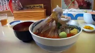 Japanese Food with Live Octupus!! That Shouldn't Be on Menu