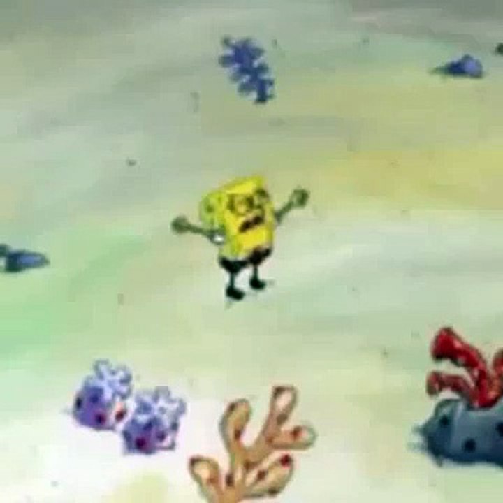 Hilarious Spongebob What are those vine