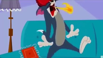Tom and Jerry Tom and Jerry 2015 HD  Tom and Jerry Cartoon 2015 HD