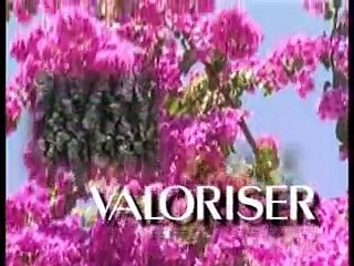 Производство БАД Vision