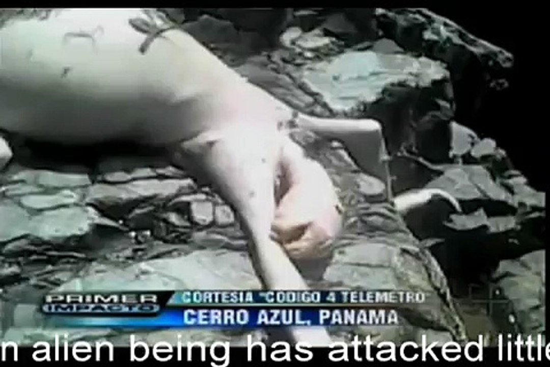 Alien captured and killed