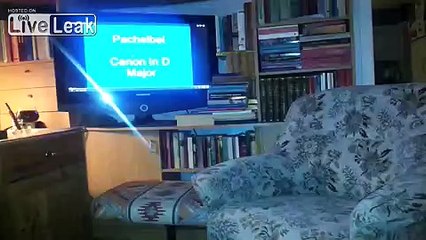 Canon in D-major by Pachelbel covered by Harmonica.
