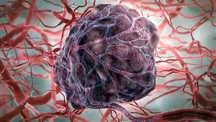 3D Mechanism of Action of drug delivery microspheres - MOA