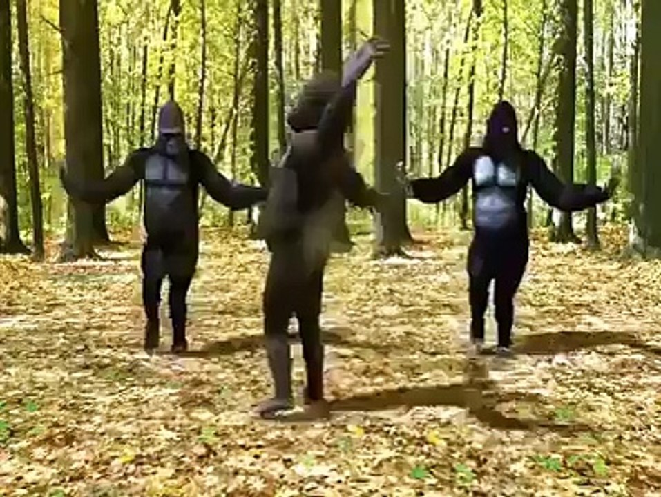 DANCING MONKEYS