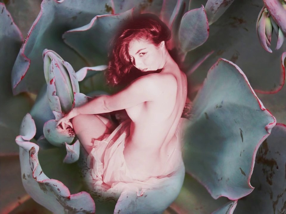 Julie Newmar Imagined