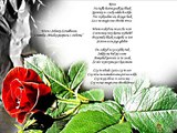 Róża wiersz Jolanty Sztadhaus  Dariusz Marek Gierej Prezezentuj.wmv