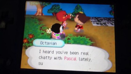 Omg boyfriend and girlfriend in Acww!!!!!!