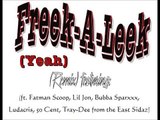 Freek-A-Leek (Remix) (ft. Fatman Scoop, Lil Jon, Bubba Sparxxx, Ludacris, 50 Cent, Tray-Dee)