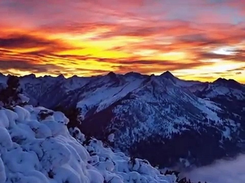 STAN BORYS-jaskółka.