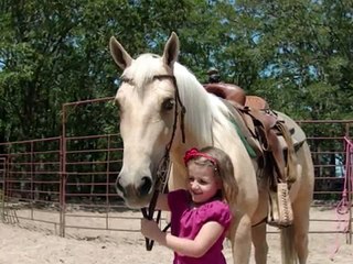 Hickorys Baby Doc-Palomino kid's Quarter Horse (pony) SOLD