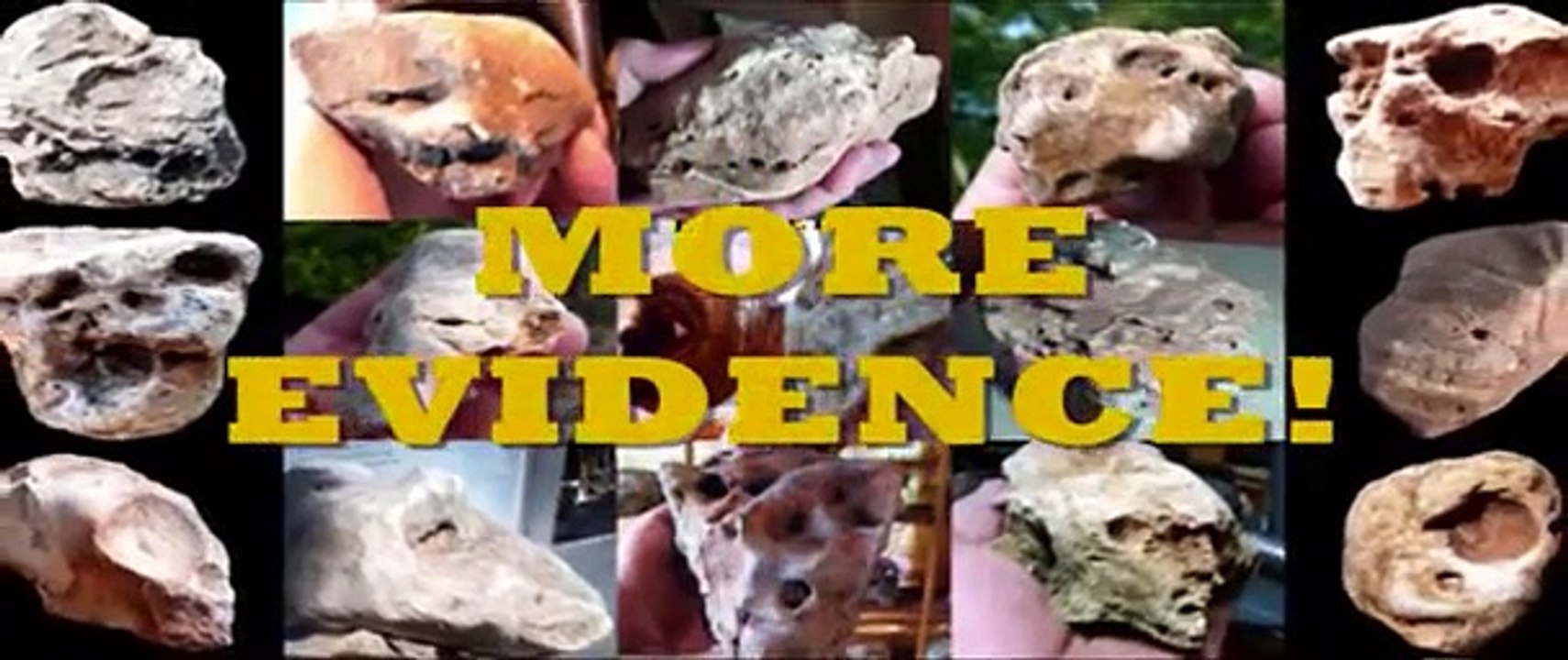 Alien Human Hybrid  Skull - The Alien Fosil Project