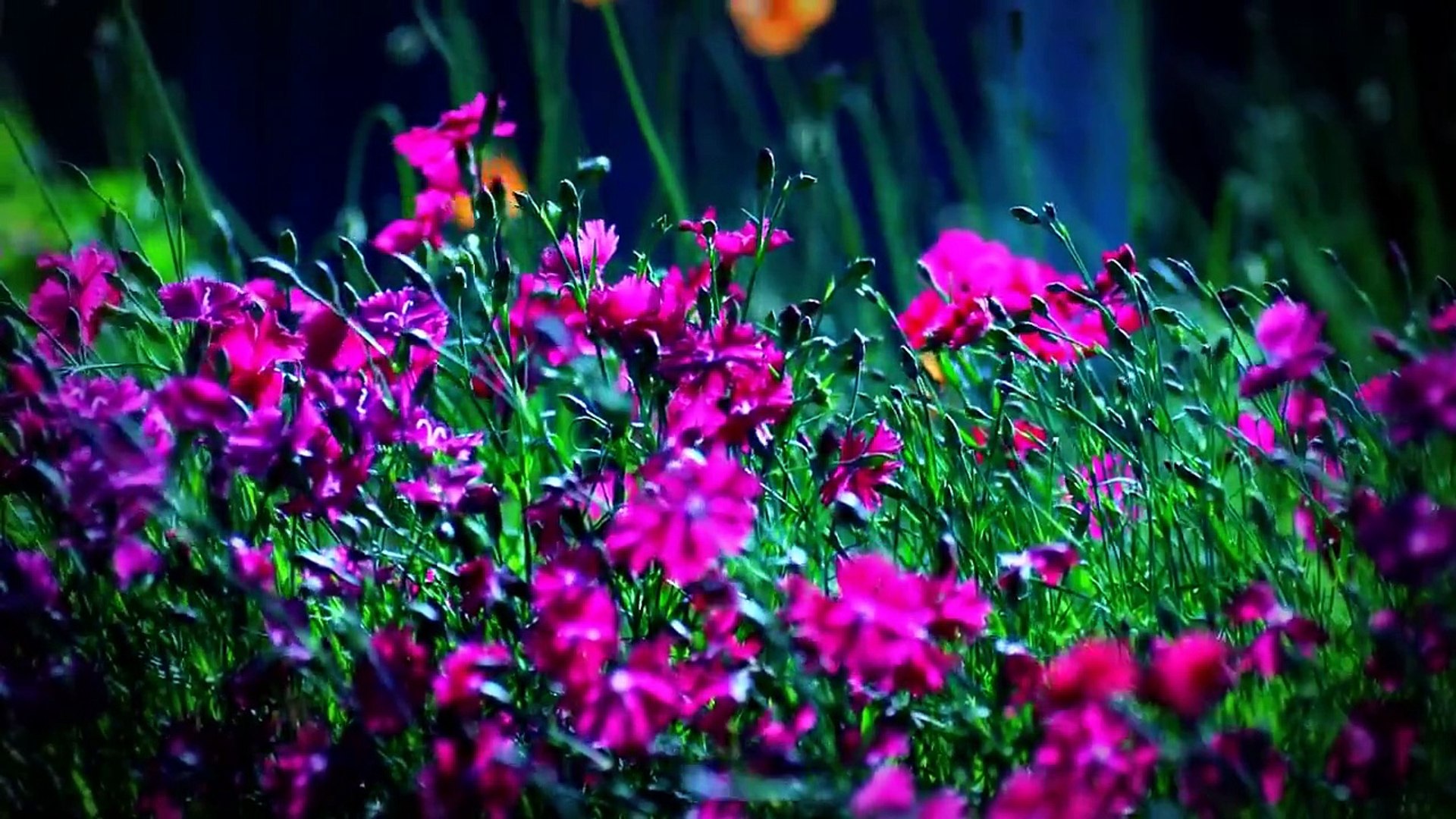 ⁣Relaxing Music for Writing and Studying