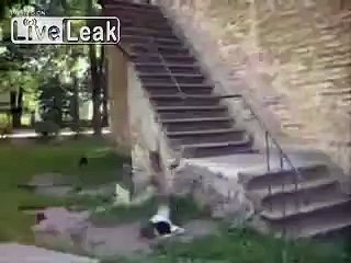 Next time, use the steps