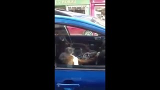 This is why you don't lock your dog in the car    Thug Life