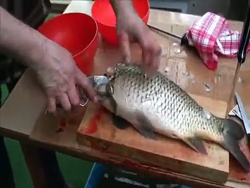 How to prepare the Czech Christmas Carp