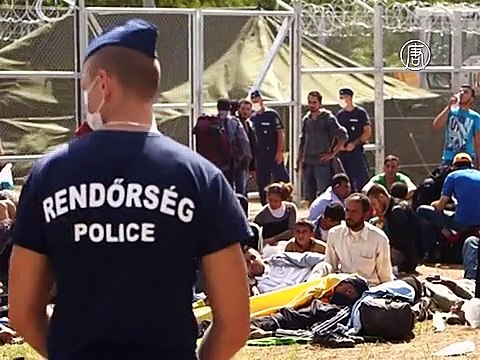 Мигрантов в Венгрии свозят в новый лагерь на границе