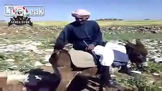 Old man and his donkey express their views on the current situation