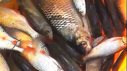 ŽIVOT ČISTÝ, od Štefana Ježíka z Hrabového, Slovenský dokumentárny film, 2011