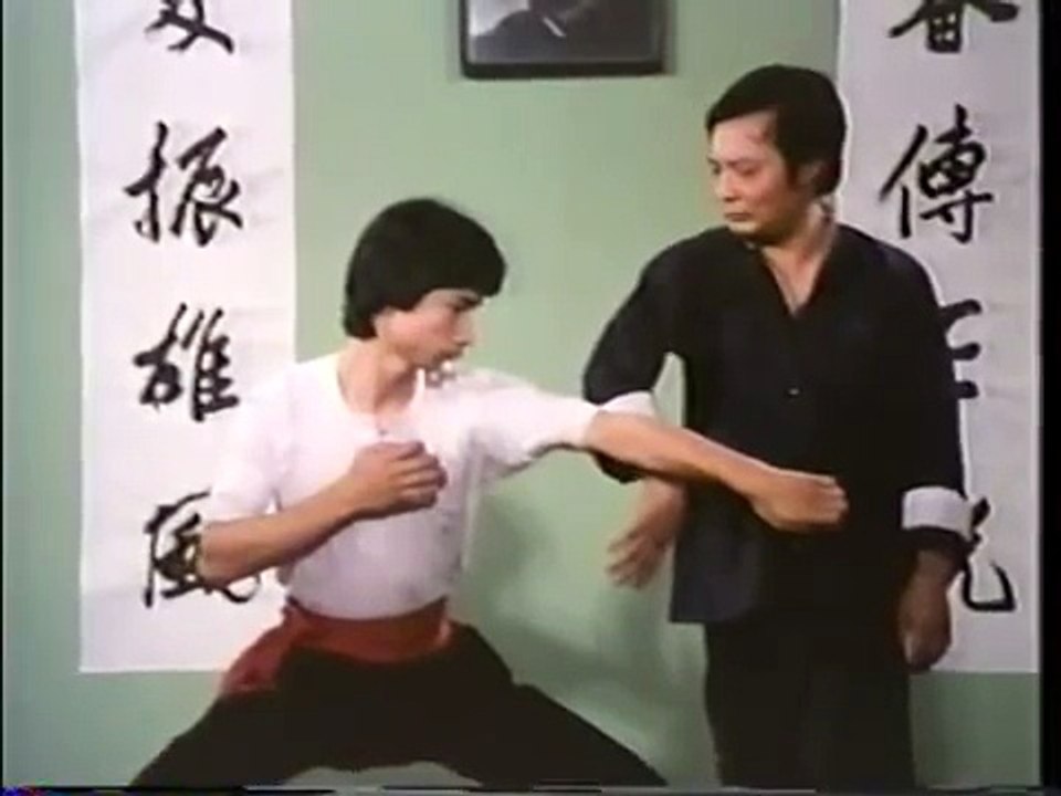Wing Chun Basic Techniques part 2