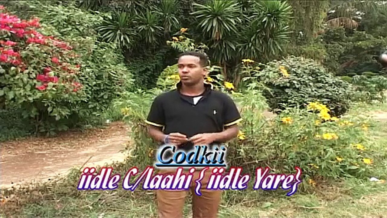 iidle yare Heestii Dareen 2013  HD