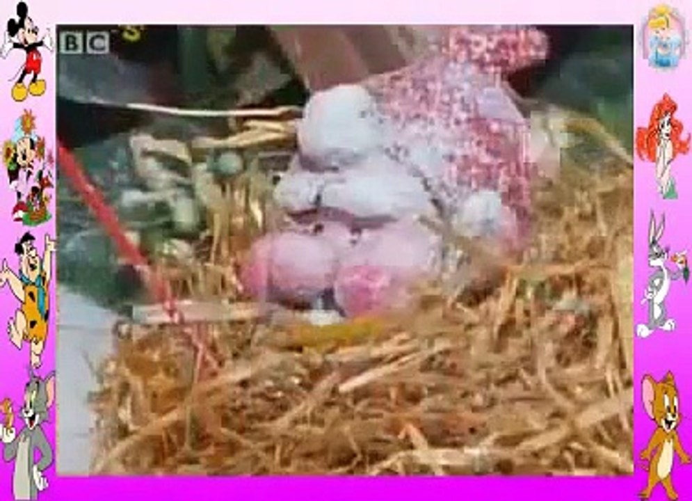 Bill And Ben The Snow Castle New Children Show New Episode / New Cartoons 2015 HD