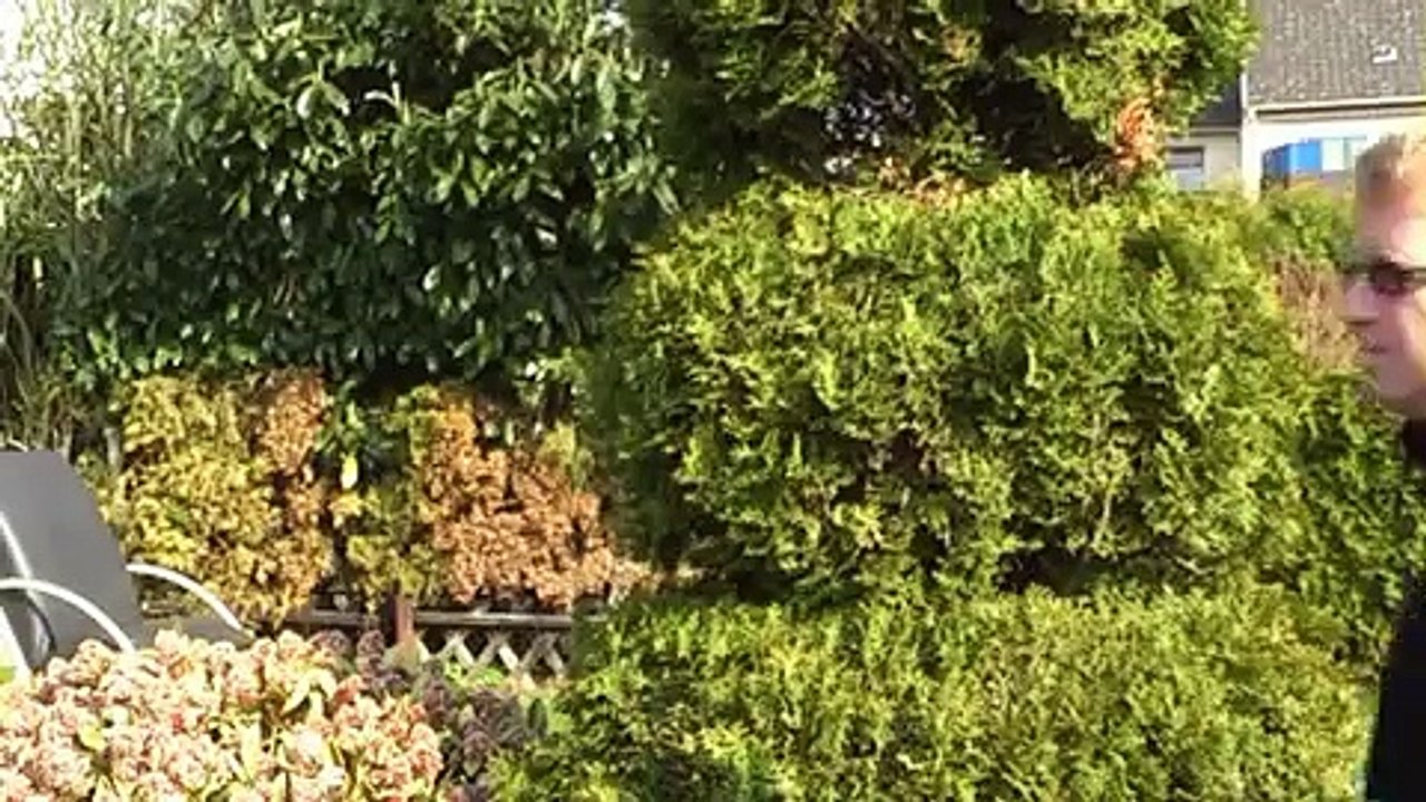 Andi´s Video Hundeschule Teil 2