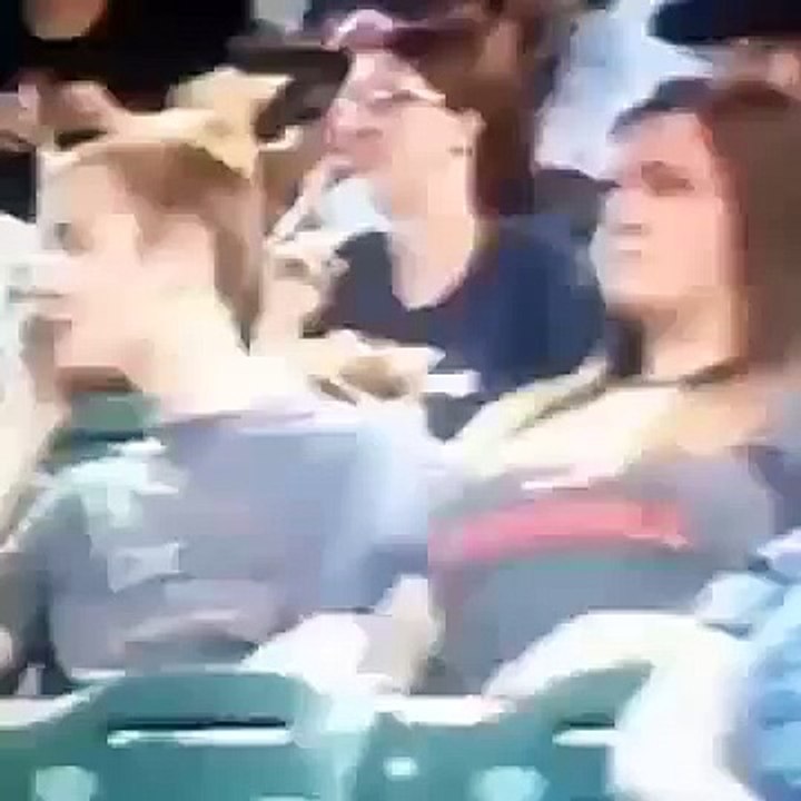 Ellen's Mistletoe Kiss Cam VINE Ellen DeGeneres