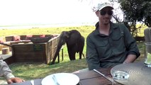 Un éléphant attaque des touristes en plein brunch... pas content!!!!