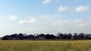 Plane Landing and moving around Melbourne Airport